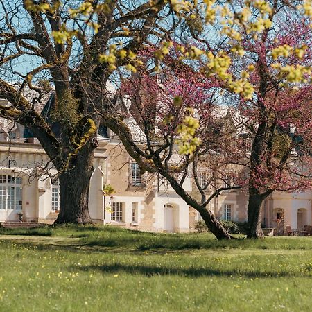 Chateau De Razay Céré-la-Ronde Exterior foto