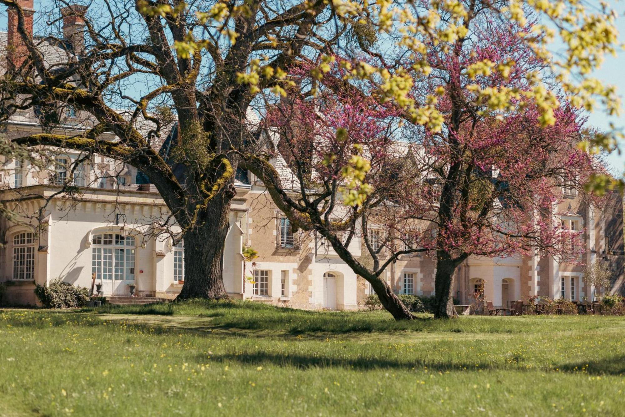 Chateau De Razay Céré-la-Ronde Exterior foto
